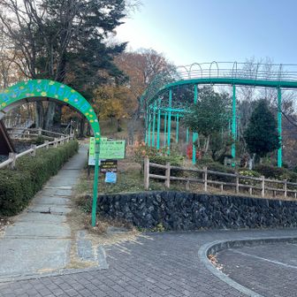 途中にローラーコースター