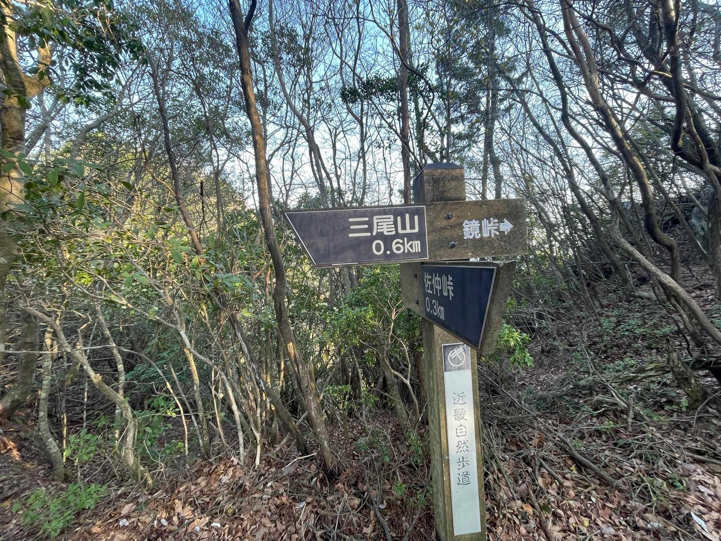ここが分岐点
私は時計回りにしました。左に進みます。
下りでゆっくりお花を楽しみたいなーって
みつおさん、会いに行きます。