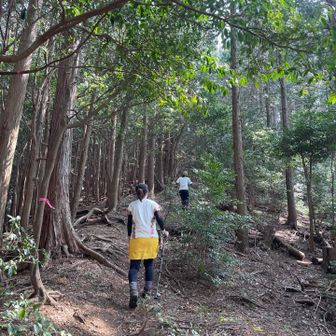 西蔵山はピストンだから、ザックデポ