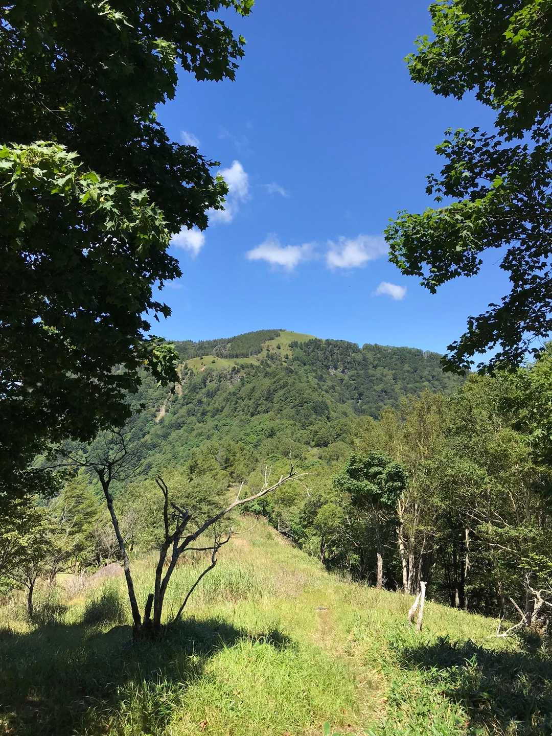 振り返って茶臼山⛰