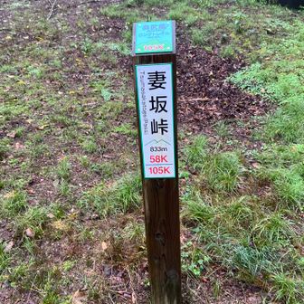 武川岳への分岐