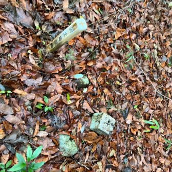 道沿いに三角点があります