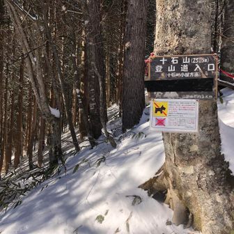 次は山頂まで行きたい