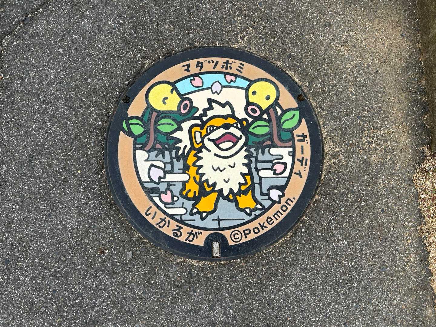 ポケふた②