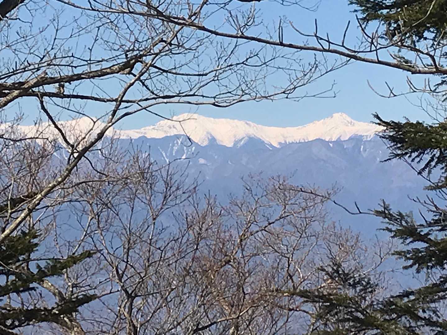 木々の間から南アがのぞいている、この景色を見ながらランチタイム