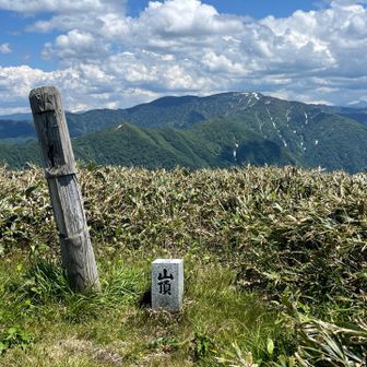 平が岳バックに丹後山山頂
