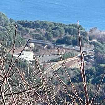 あそこからきた