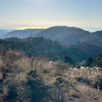 尺里峠の少し先の
ピークの第六天から
（水落山みずおちやま）
相模湾が輝いている