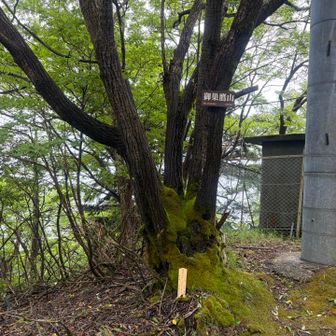 電波塔の裏側にあり