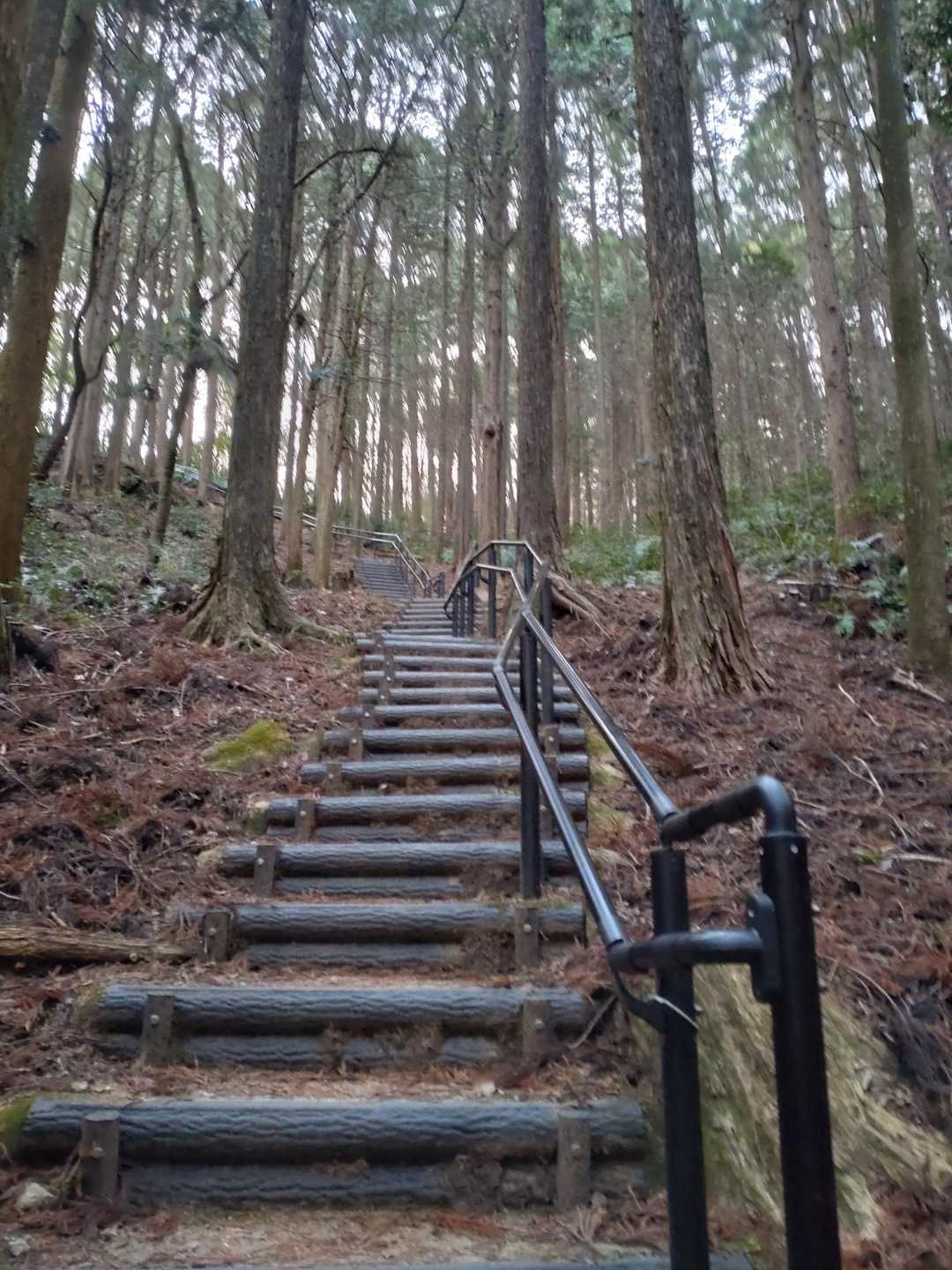 ここを登ればだいぶ楽になる
ふくらはぎにくる