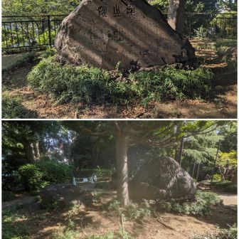 亀山山頂　最高地点　🐢