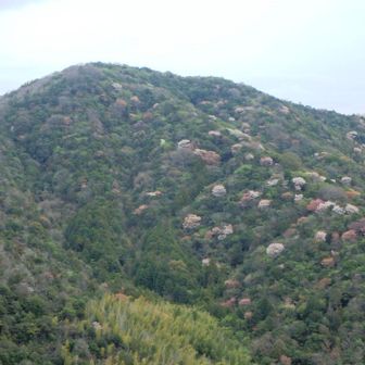 大海山と西尾根
