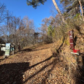 登山口までは戻ってきたが、自分は分岐に車を停めたから・・・先はまだ長い。