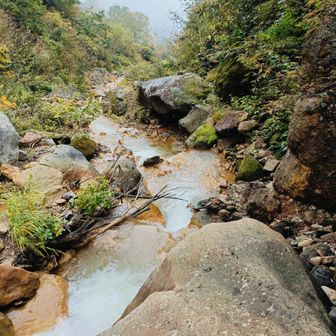 右岸(右側)を行きます