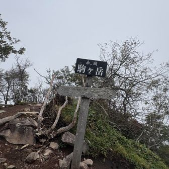 駒ヶ岳山頂⛰️