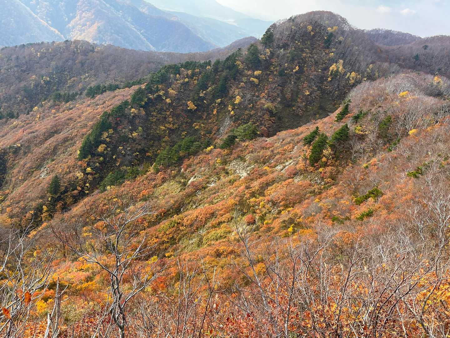 また来たくなる山ですねぇ😊