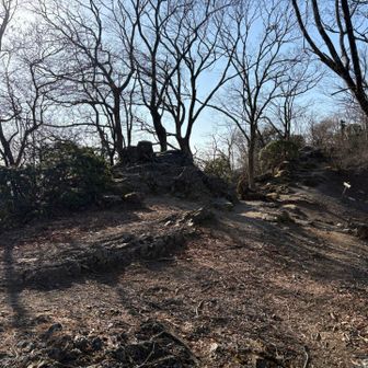 伊豆ヶ岳山頂手前