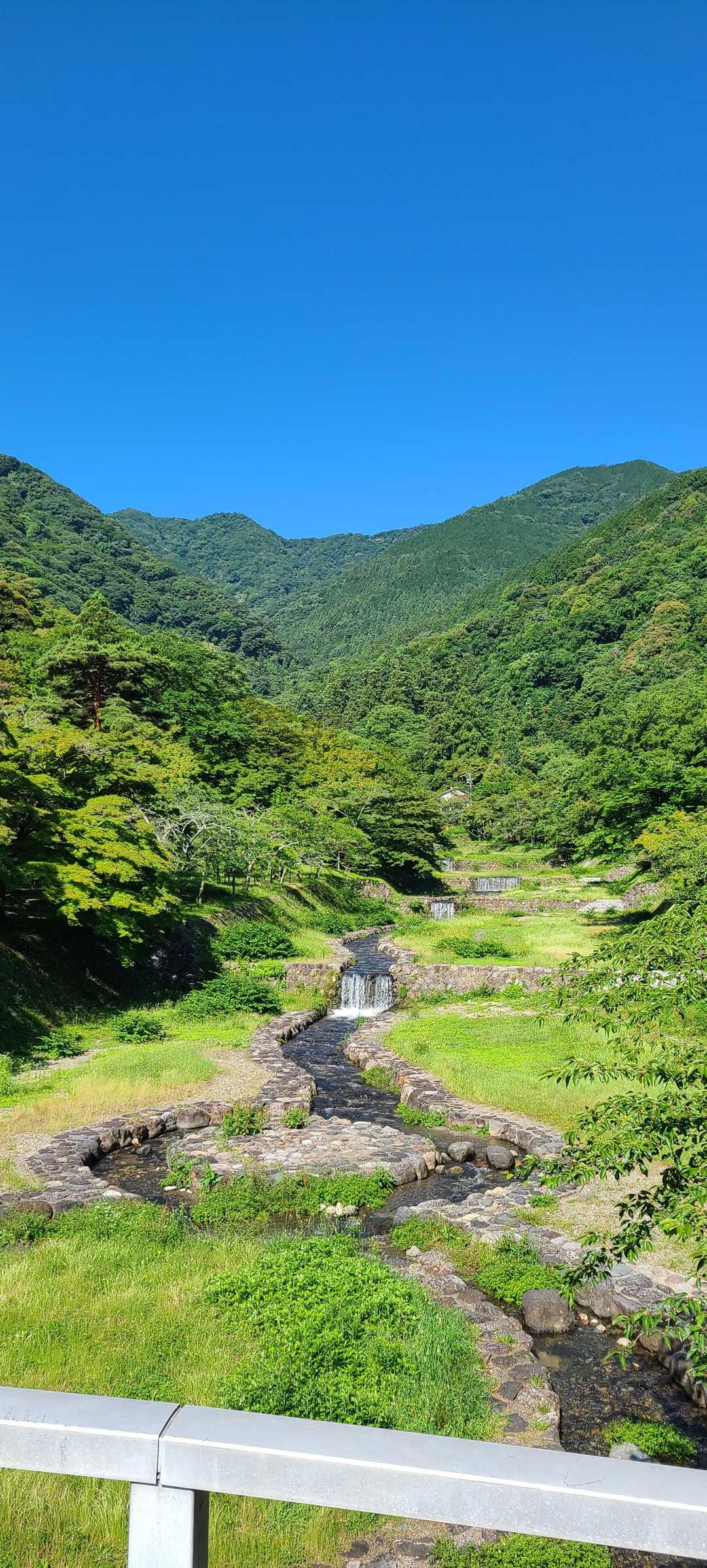 養老公園
川の流れが涼しげ😊