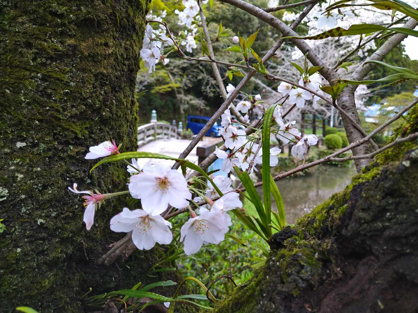 ありがとうございました。