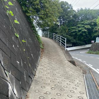 登山口