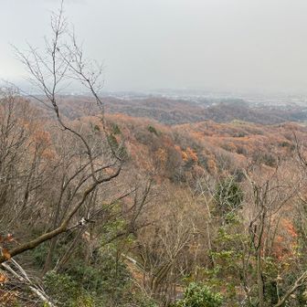 二上山山頂から。やっぱり紅葉楽しむには日差しが欲しい