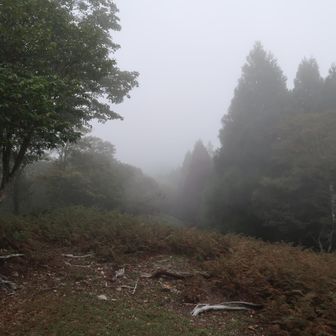 展望は