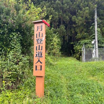 空港大運動会で
再ダメージ受けたオミ足に
とりあえずテーピング
もう若くないさと
君にいい訳して

さてさて、出発▶️