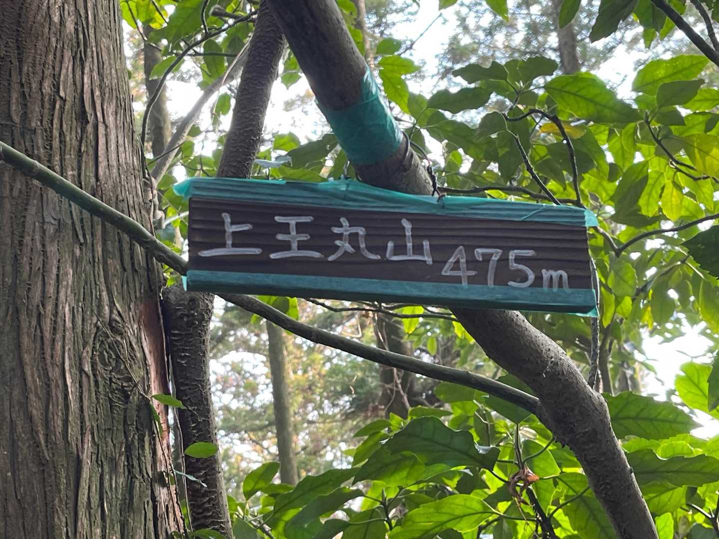 これを気づかず素通りしてた(^^;