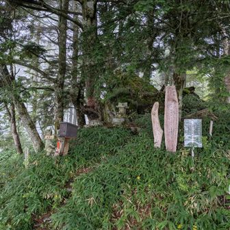 権現山山頂。蒸し蒸し