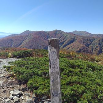沢尻岳山頂。