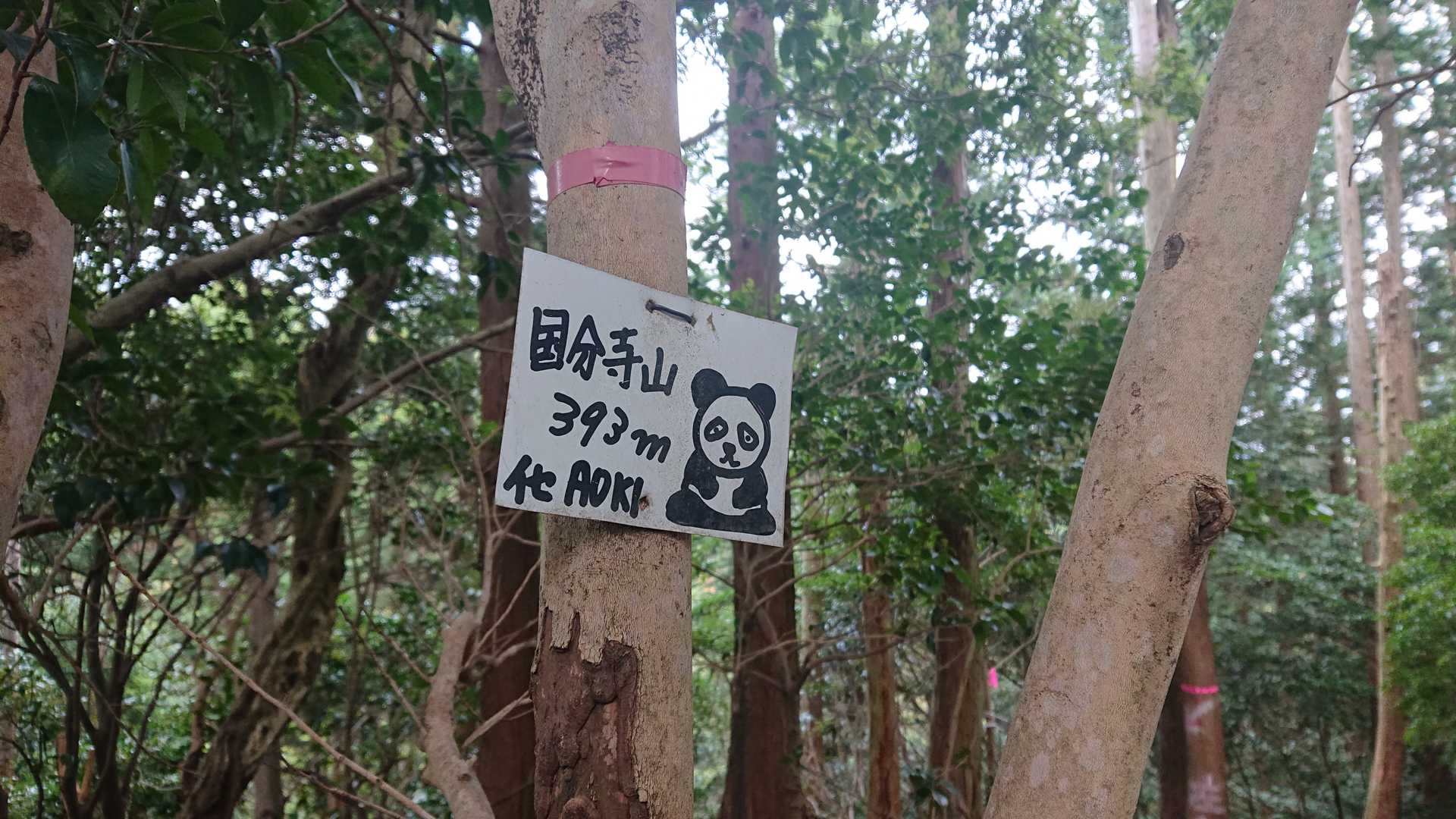 まずは国分寺山に到着🙌