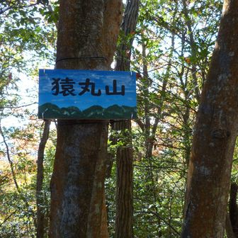 やがて、猿丸山に到着です。三十六歌仙の一人、猿丸大夫からの山名でしょうか？宇治田原の猿丸神社からはそんなに遠くないし・・・。
