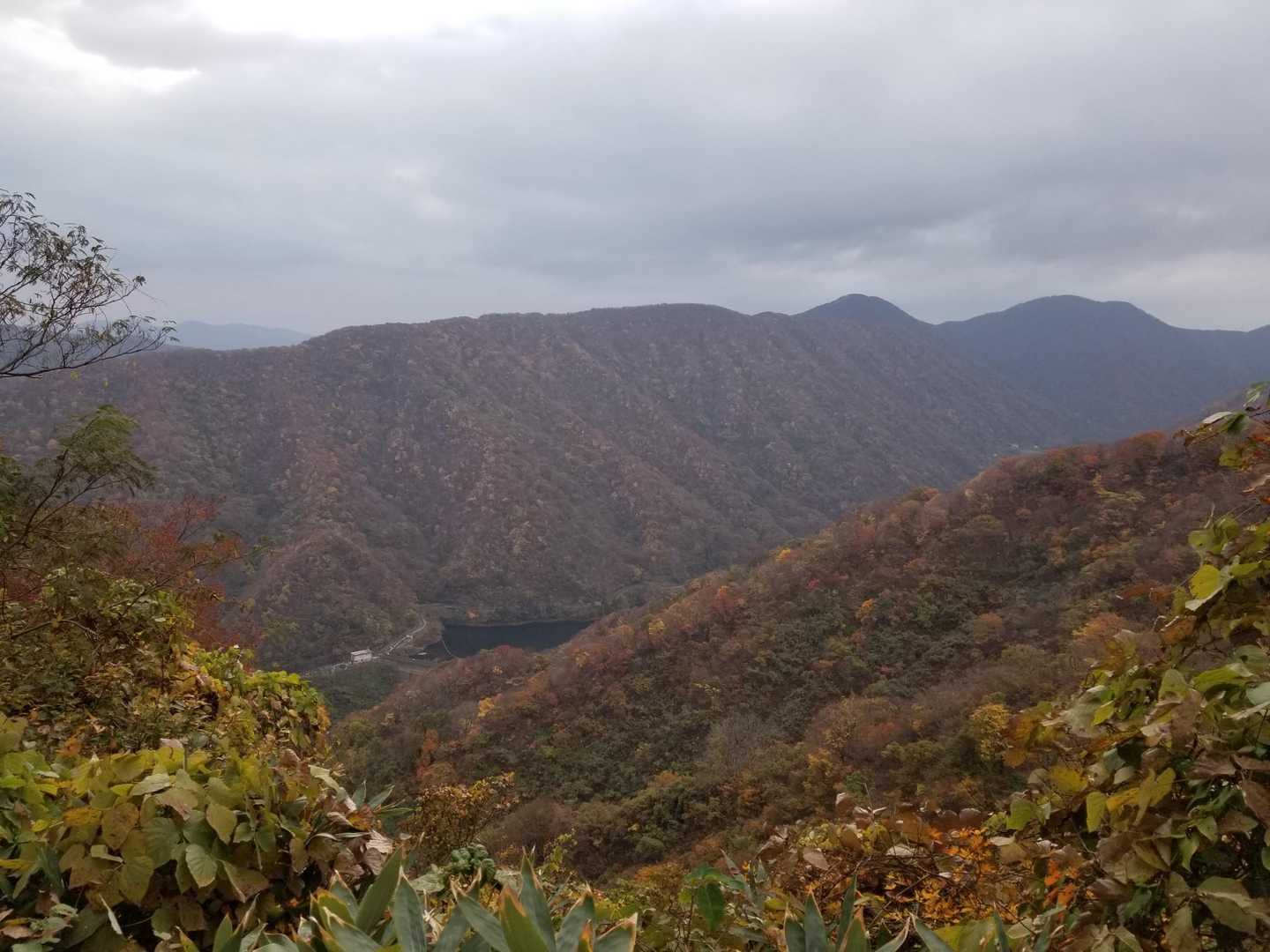 この時期の谷根ダム初めて。