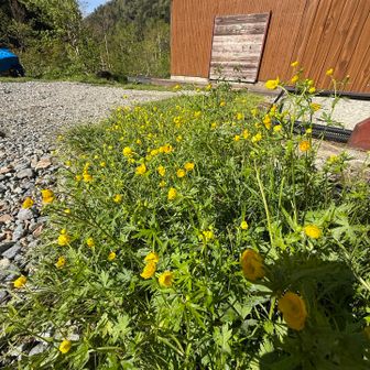 槍平小屋