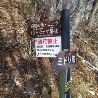 下山したらシャクナゲ尾根は冬期通行止めでした～😁
