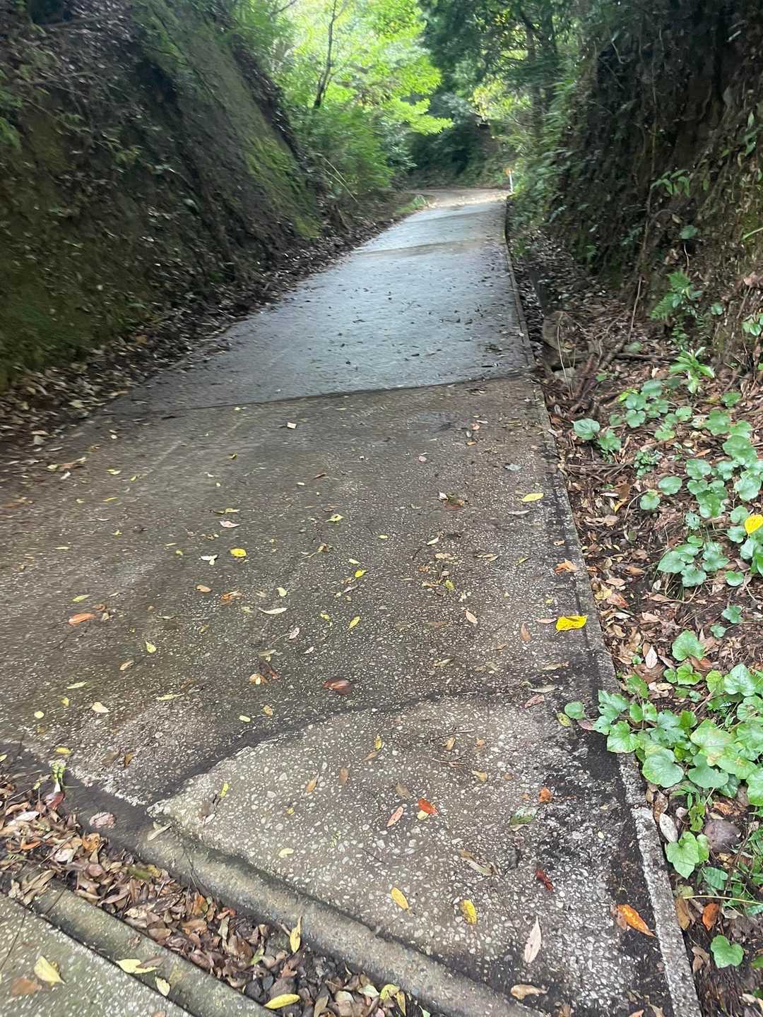 終盤で林道の登りはちょっと嫌だ。