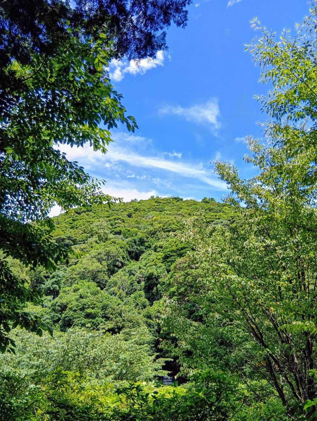 あれが、山頂かな🤔⁉️