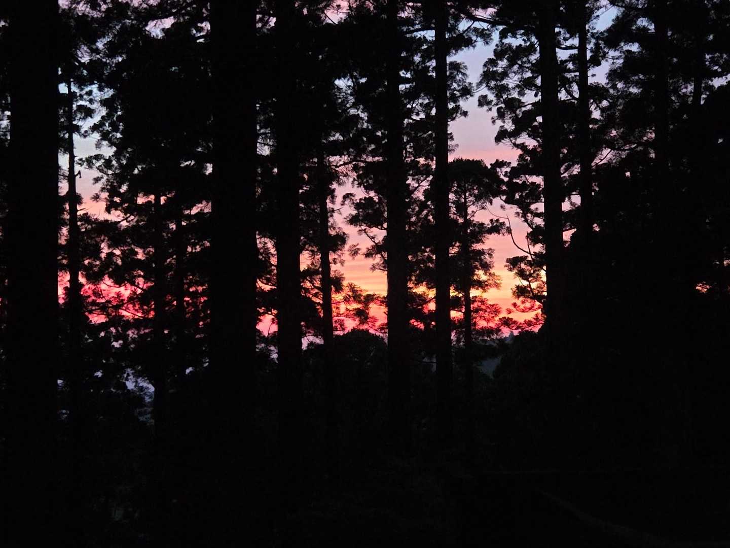 夕日は見れませんでしたが、🔥焼けるような夕焼けです
この辺りから、去年には無かった風がそよ吹き始めました🤩
