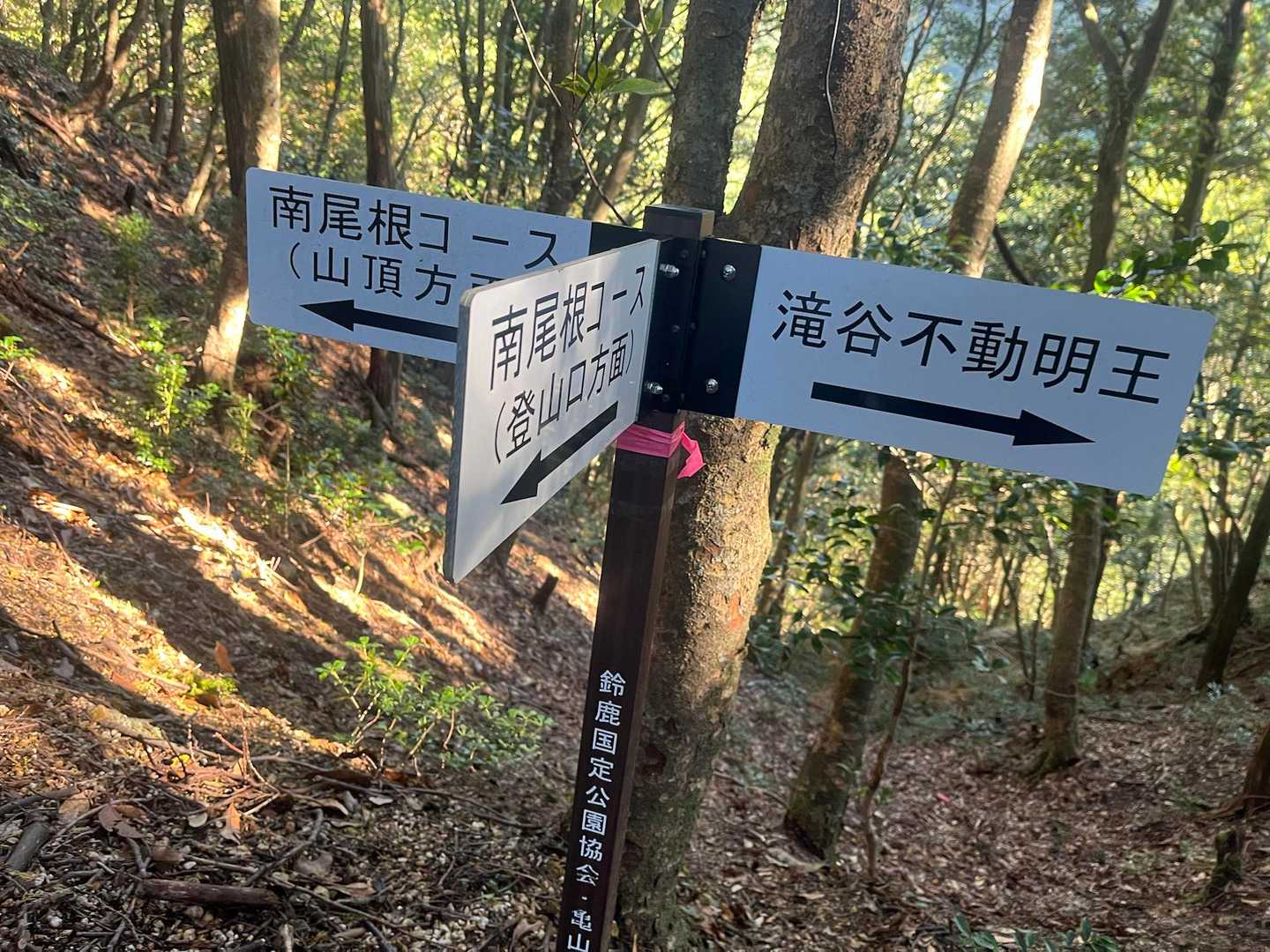 やっと尾根に乗り上げた。
合流地点に滝谷不動明王→分岐の表示あり。
滝谷不動明王へ立ち寄ります