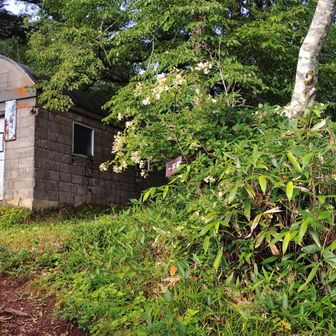 避難小屋