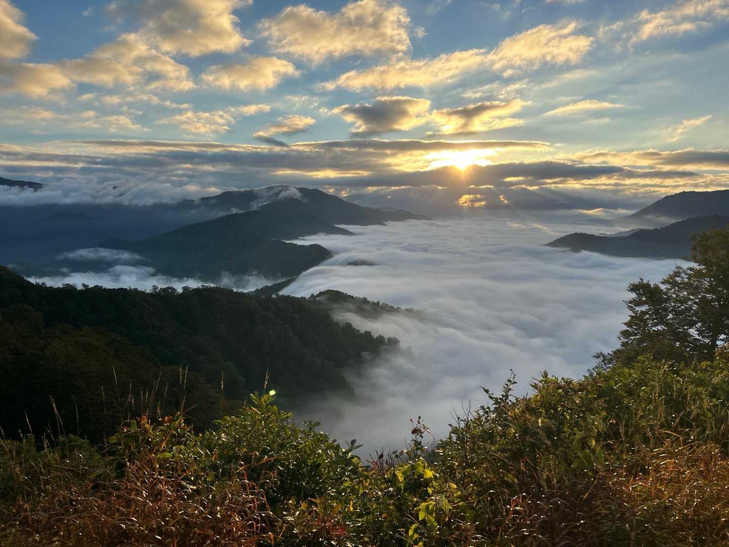 越後駒ヶ岳 往復 | 滝雲が湧く枝折峠から、花や眺望を楽しむ稜線歩きの写真