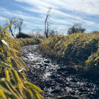 どろんこひどかった💦
これも丹沢名物😂