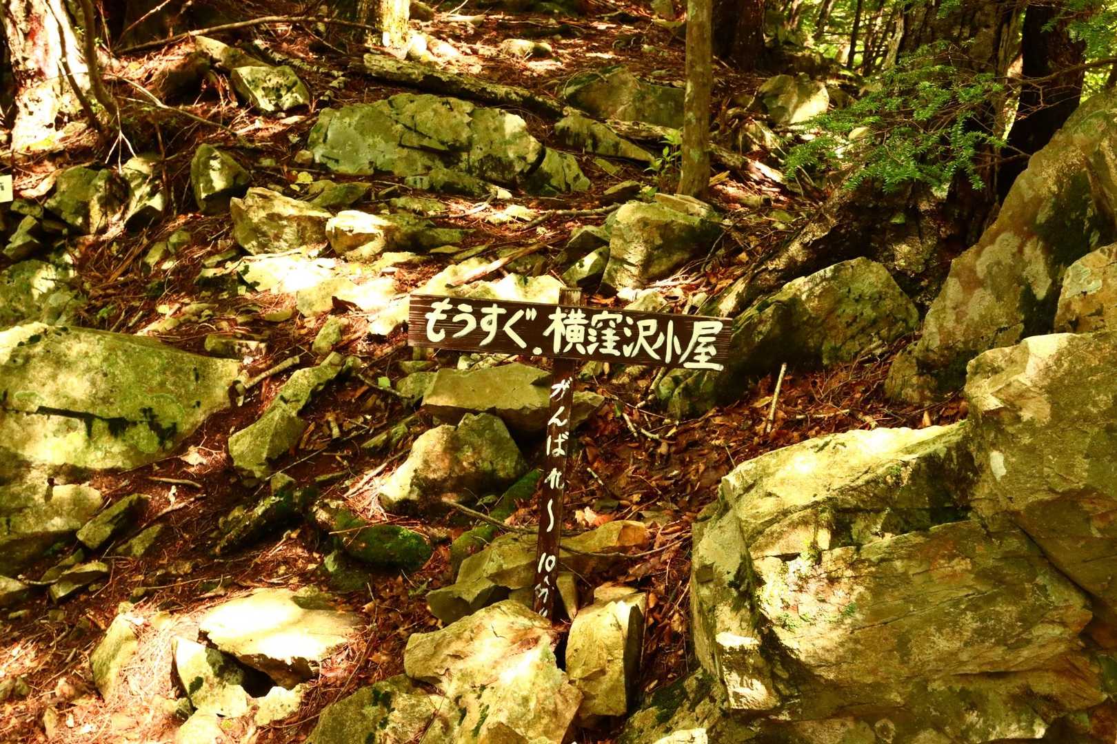 写真撮る余裕がない💦