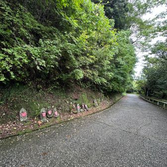 車道歩きで…🚶🏼‍♀️