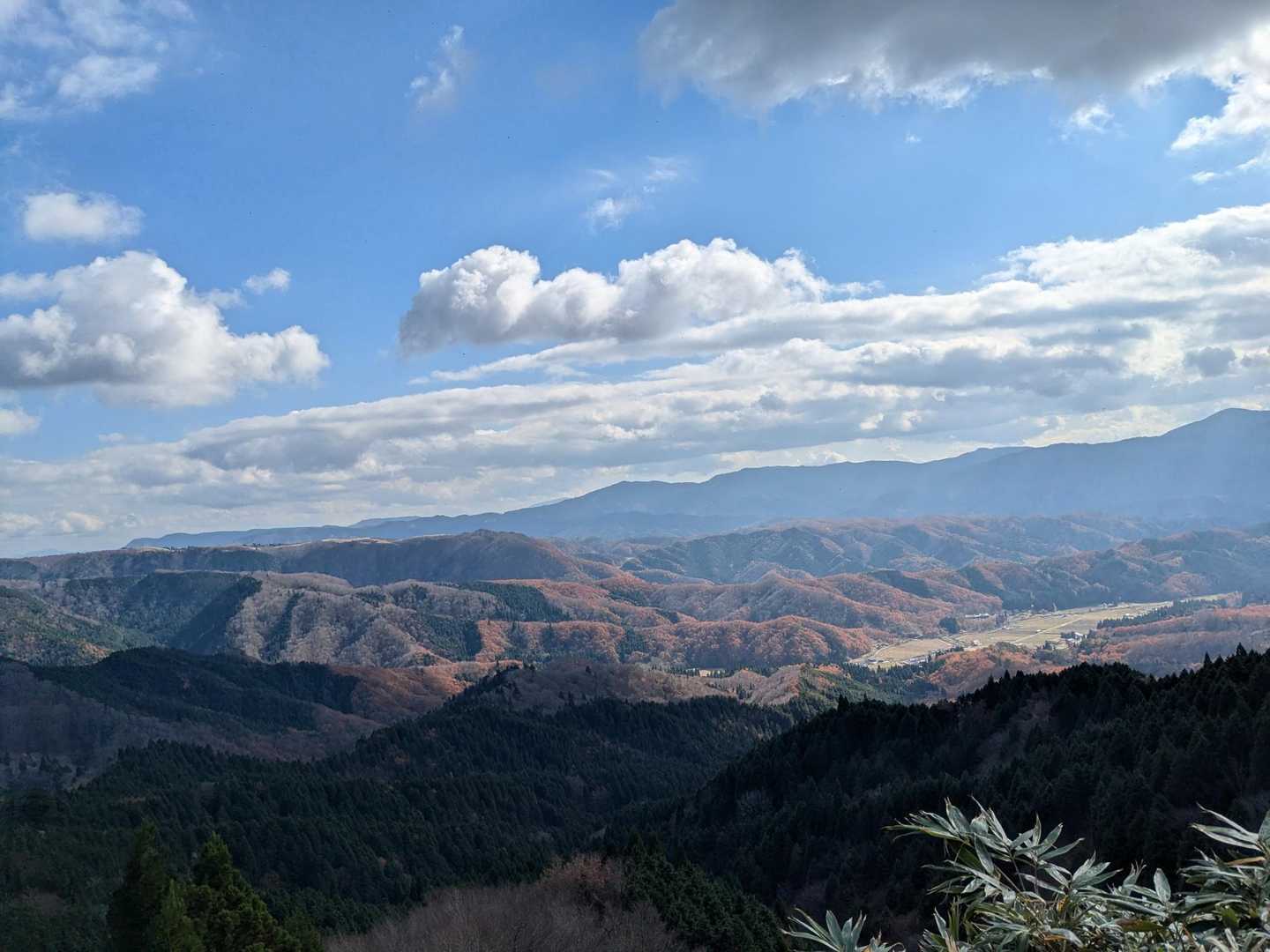 素敵だぁ