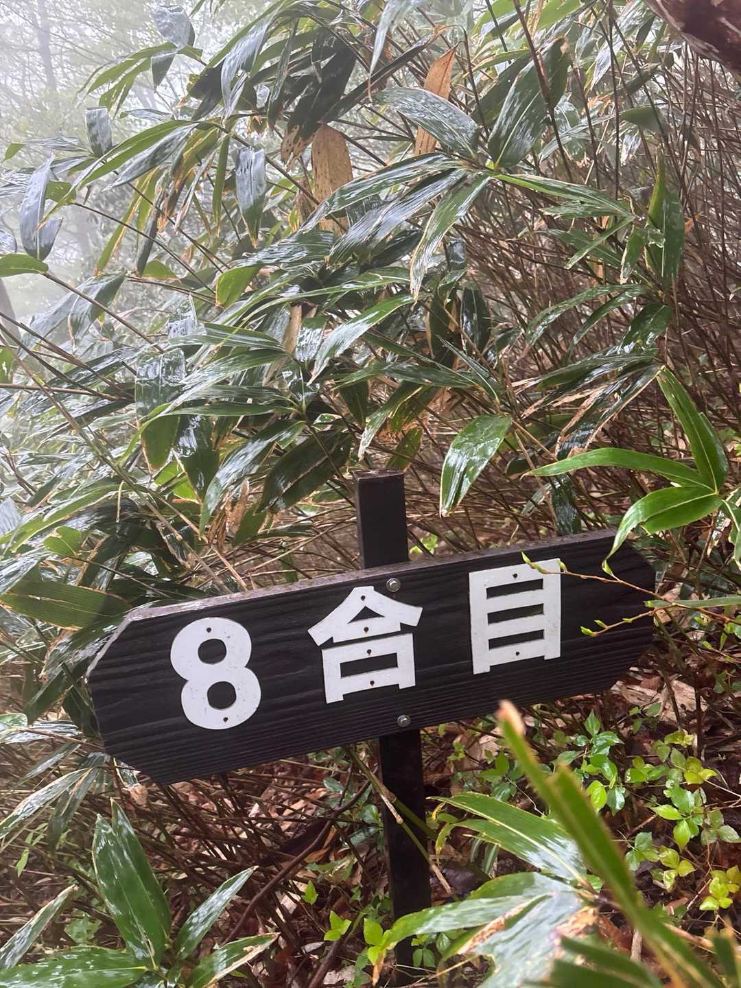 当たり前ですが、この辺りでずぶ濡れに
帰りたいのピーク🤣