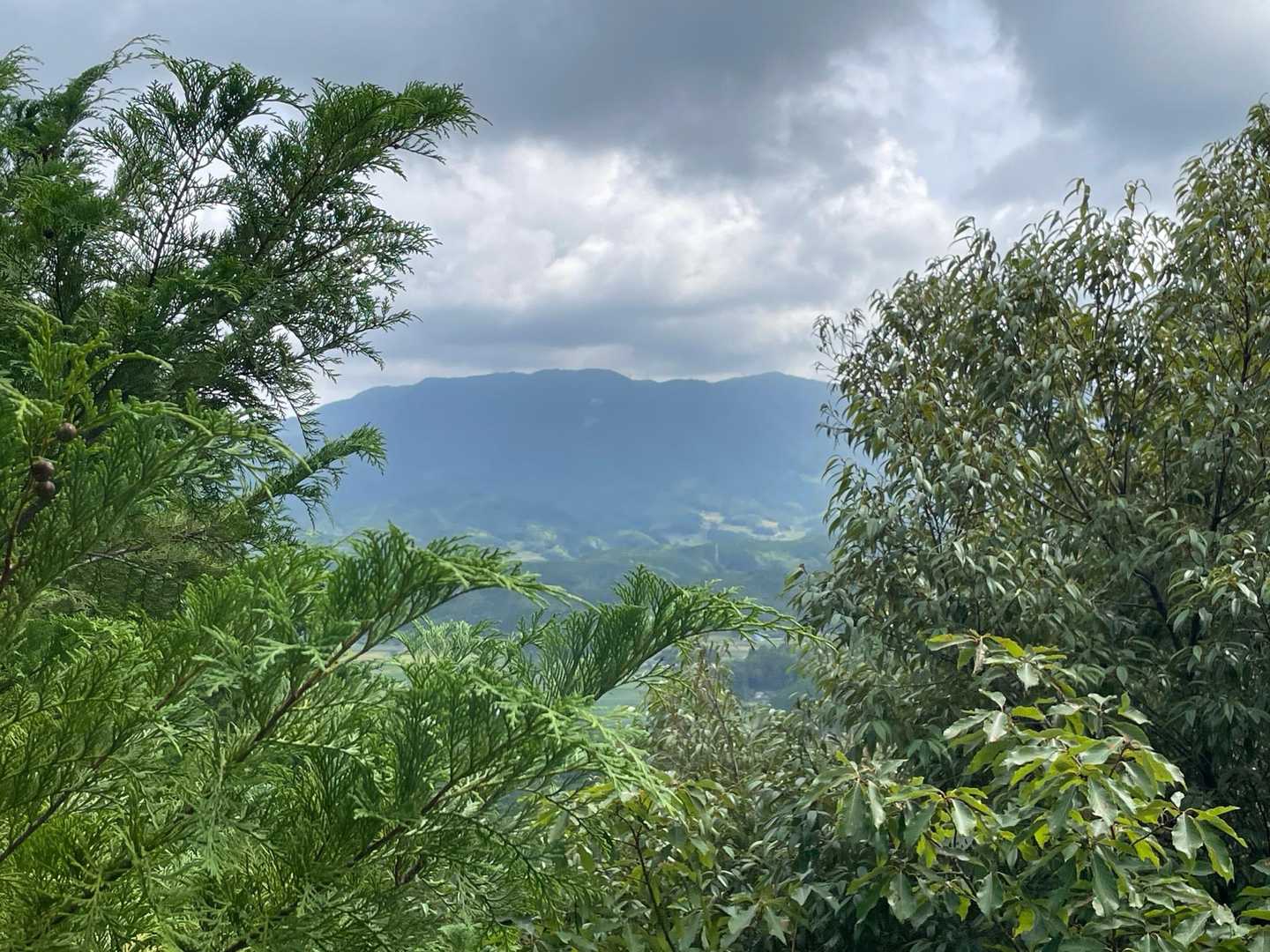 高照寺山⛰️和尚