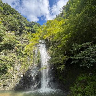 水量も多くて迫力があります。
