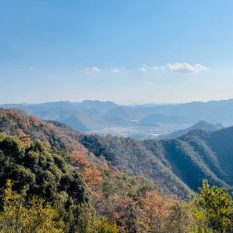 にしてもいい天気☀️
