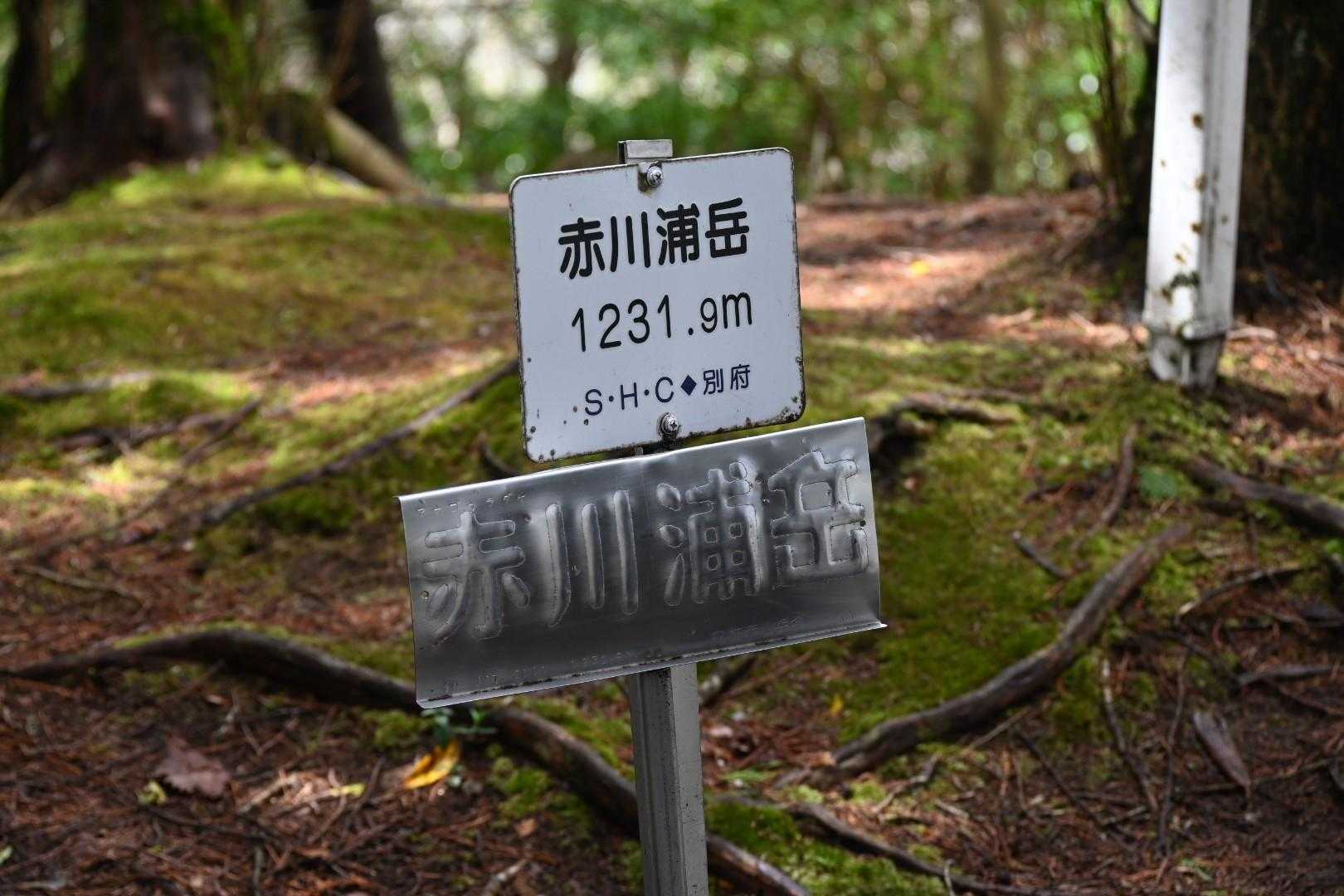 黒原越-赤川浦岳 往復コースの写真